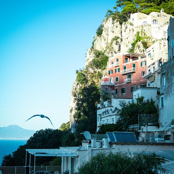 Family terraces and cafés for calm evenings in Toronto